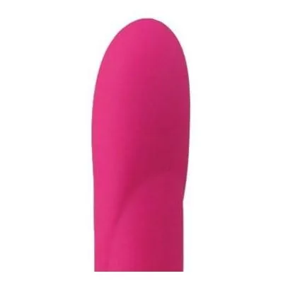 Adrien Lastic Female Sex Toys Bonnie Clyde Rechargeable Rabbit Vibrator