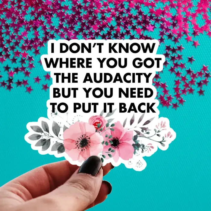 Pretty Toxic Stickers Dildos I Dont Know Where You Got the Audacity Sticker
