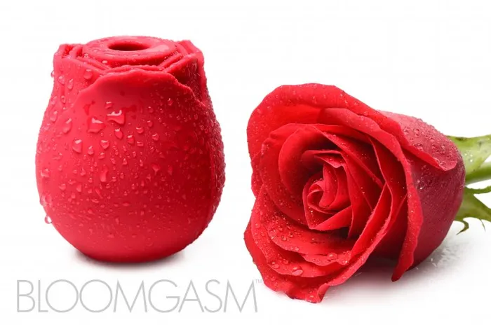 Female Sex Toys Xandebay Inmi Bloomgasm Wild Rose 10x Suction Clit Stimulator Female Sex Toys Xandebay Inmi Bloomgasm Wild Rose 10x Suction Clit Stimulator