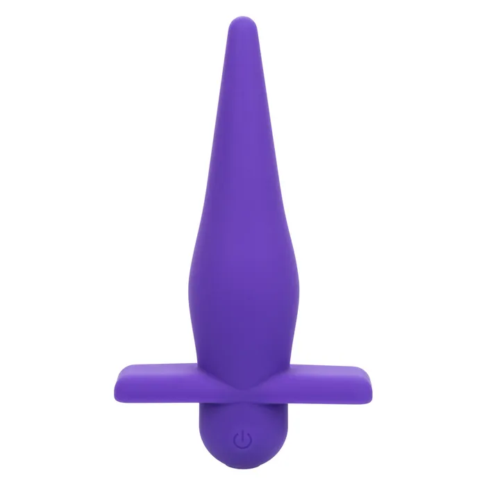 Anal Calexotics Rechargeable High Intensity Probe