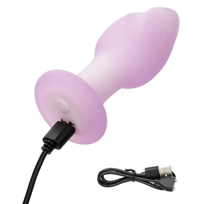 California Exotics Male Sex Toys Lavender Haze Ridge Probe Vibrating Liquid Silicone Butt Plug