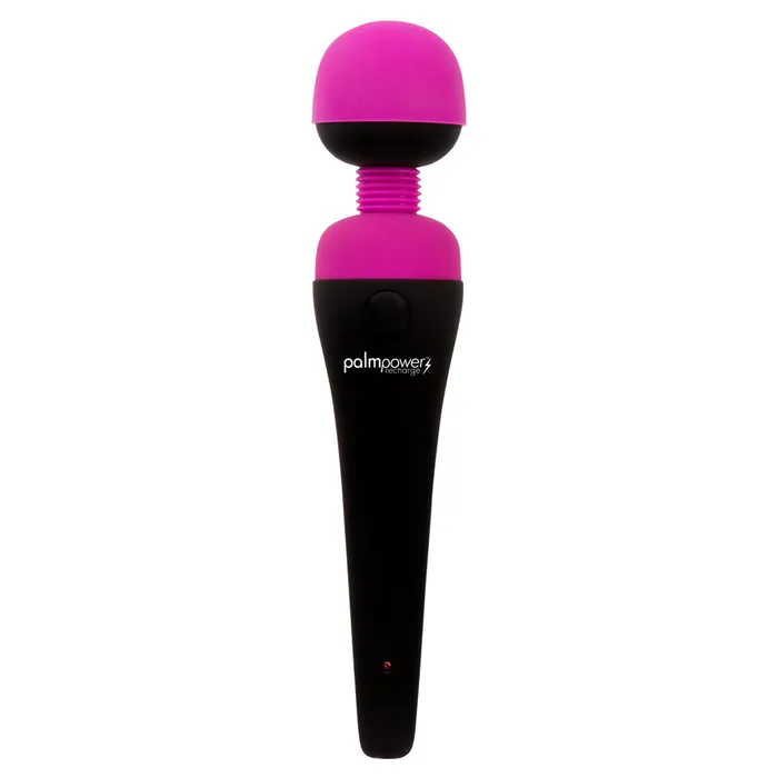 Female Sex Toys PalmPower PalmPower Recharge Vibrating Wand Massager