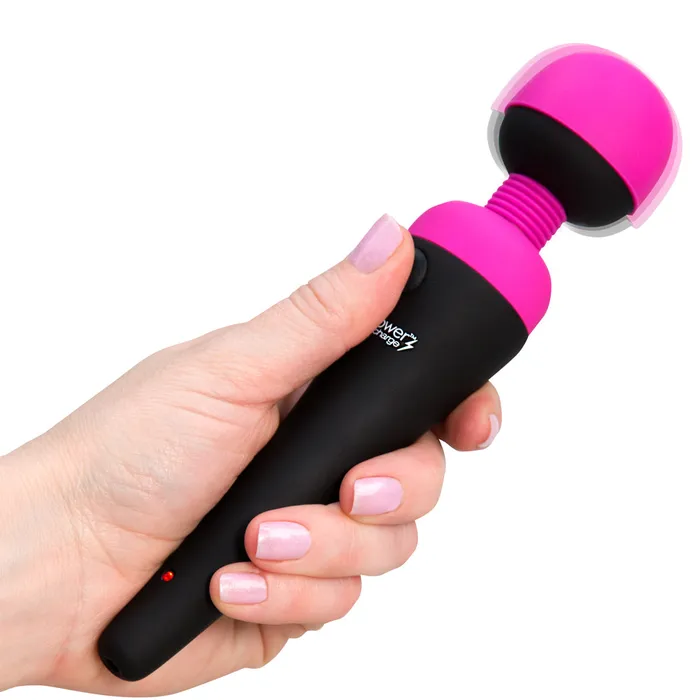 Female Sex Toys PalmPower PalmPower Recharge Vibrating Wand Massager