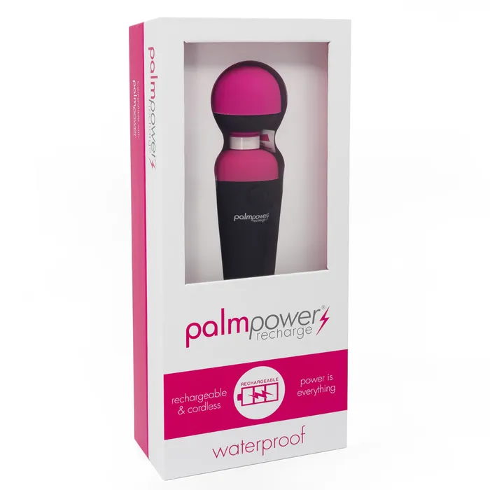 Female Sex Toys PalmPower PalmPower Recharge Vibrating Wand Massager