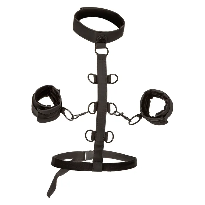 Anal CalExotics Boundless Collar Body Restraint Black