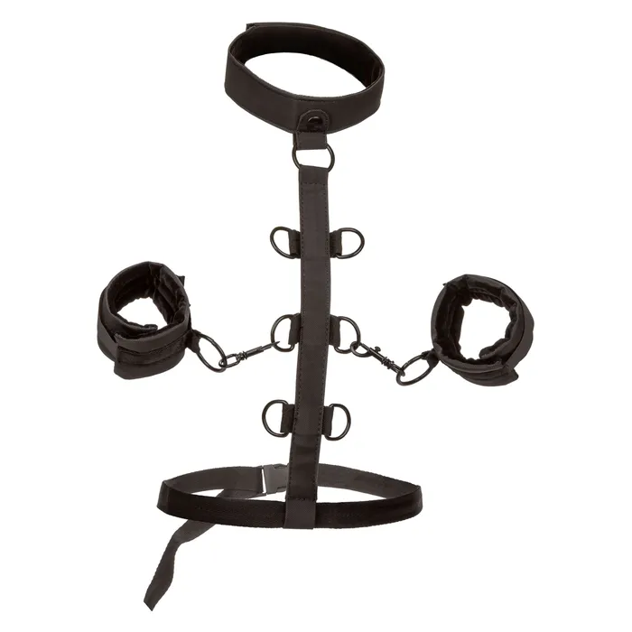 Anal CalExotics Boundless Collar Body Restraint Black Anal CalExotics Boundless Collar Body Restraint Black