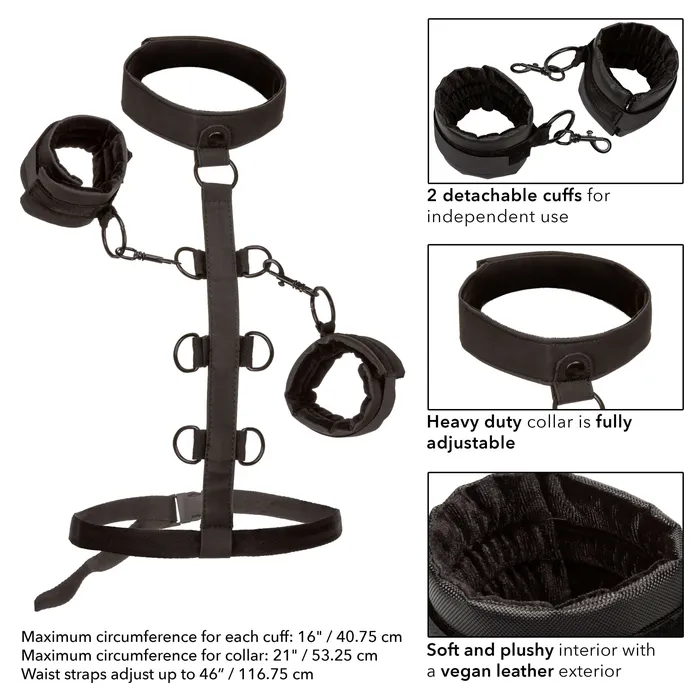Anal CalExotics Boundless Collar Body Restraint Black Anal CalExotics Boundless Collar Body Restraint Black