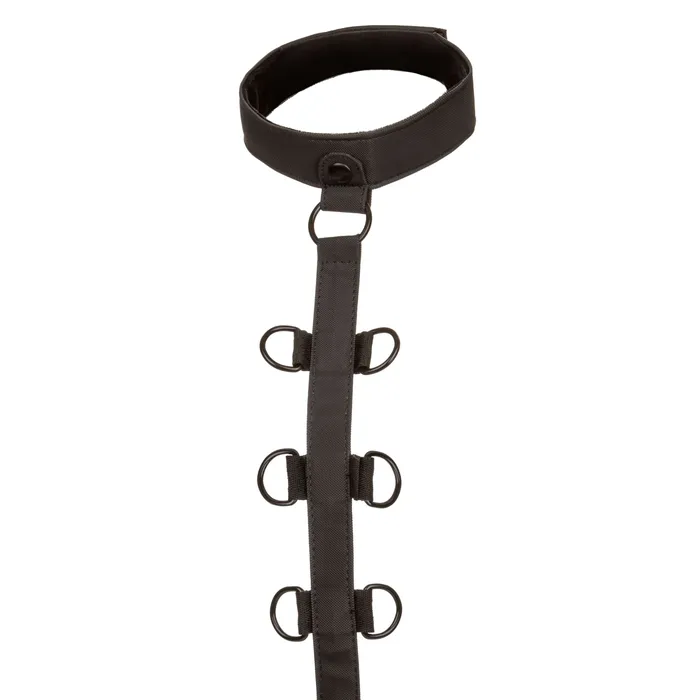 Anal CalExotics Boundless Collar Body Restraint Black Anal CalExotics Boundless Collar Body Restraint Black
