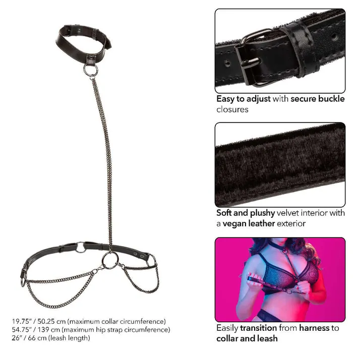 CalExotics Euphoria Collection Plus Size Chain Haltercollar and Leash Black Plus Size CalExotics Euphoria Collection Plus Size Chain Haltercollar and Leash Black Plus Size