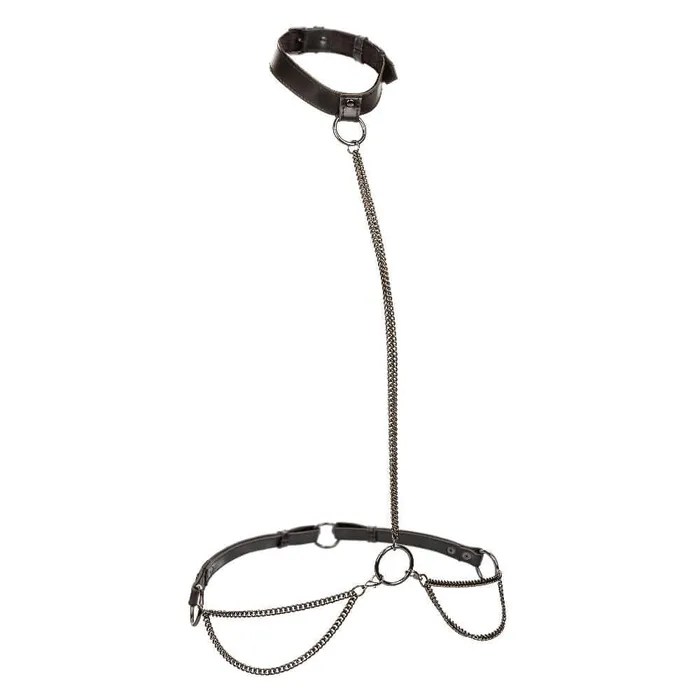 CalExotics Euphoria Collection Plus Size Chain Haltercollar and Leash Black Plus Size CalExotics Euphoria Collection Plus Size Chain Haltercollar and Leash Black Plus Size