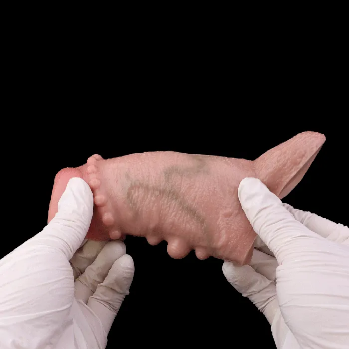Domlust Female Sex Toys Spiked Lifelike Penis Sleeve Extender Flesh Realistic Dildo Cocksleeve Sex Toys for Men
