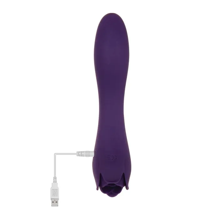 Evolved Thorny Rose Dual End Massager Evolved Sex Toys Vibrators Evolved Thorny Rose Dual End Massager Evolved Sex Toys Vibrators