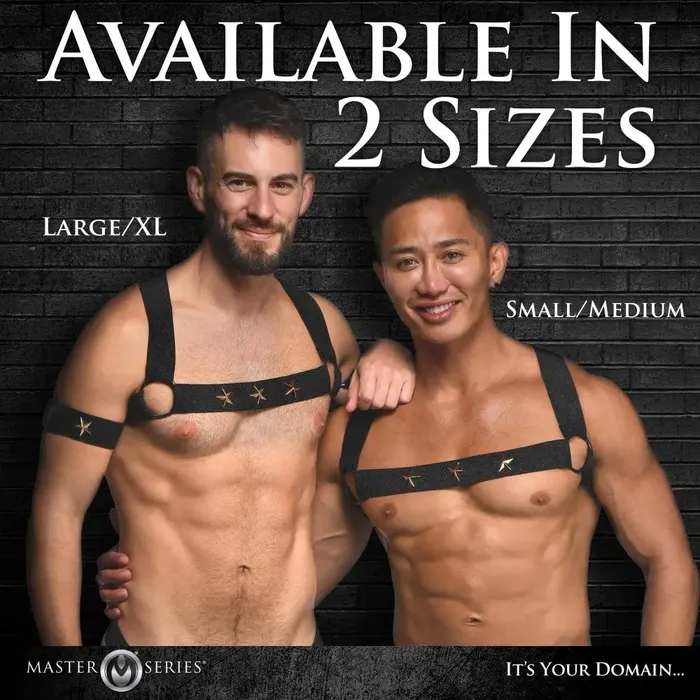 XR Brands Rave Harness Elastic Chest Harness with Arm Bands LXL Female Sex Toys