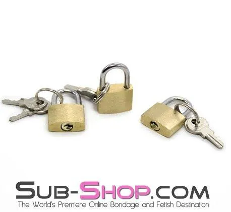 8983DL Brass Bondage Gear Padlock MEGA Deal Idea Couples