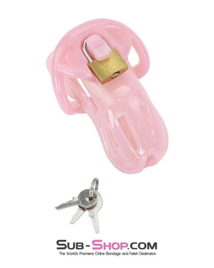 Aria Male Sex Toys 1533ARSIS Prison Sissy Bitch Pink Jailhouse Cock Locking Male Chastity Cage