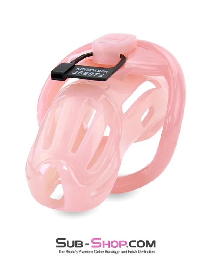 Aria Male Sex Toys 1533ARSIS Prison Sissy Bitch Pink Jailhouse Cock Locking Male Chastity Cage