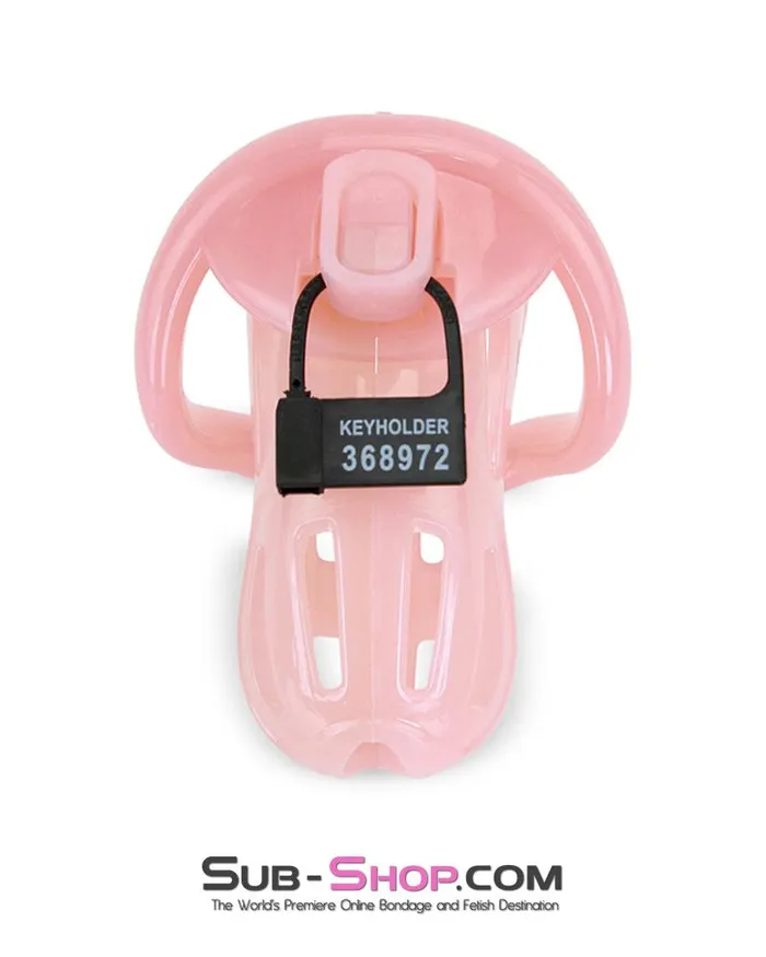Aria Male Sex Toys 1533ARSIS Prison Sissy Bitch Pink Jailhouse Cock Locking Male Chastity Cage