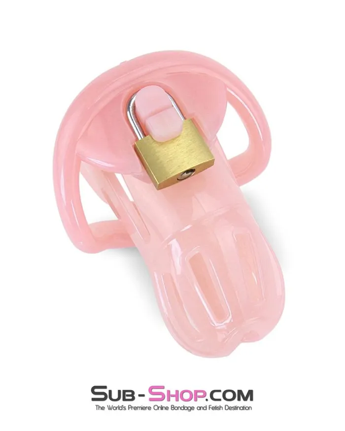 Aria Male Sex Toys 1533ARSIS Prison Sissy Bitch Pink Jailhouse Cock Locking Male Chastity Cage