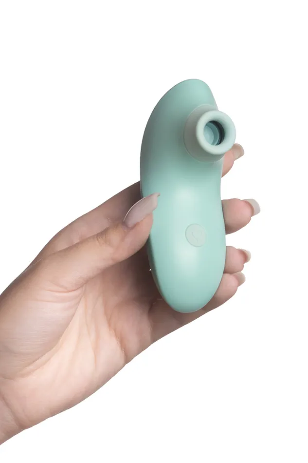 Clitoridea MySecretCase Vibrators