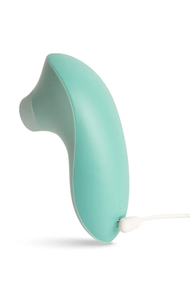 Clitoridea MySecretCase Vibrators