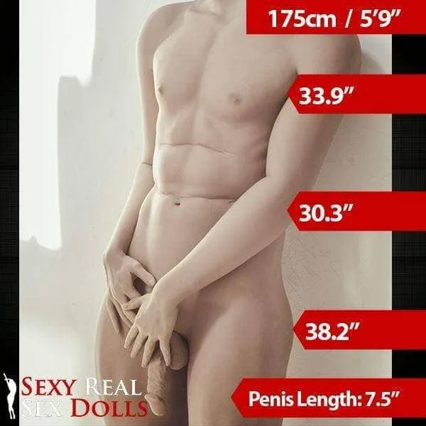 Male Sex Toys WM Dolls 175cm 5ft9 Life Size Male Love Doll for Women