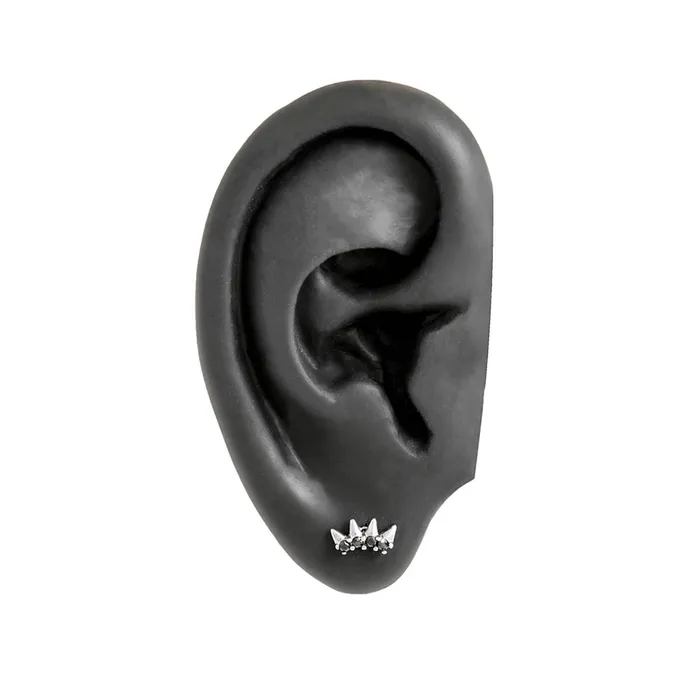 Anal Painful Pleasures 16g 516 Black Jewel Crown Externally Threaded Straight Barbell Price Per 1