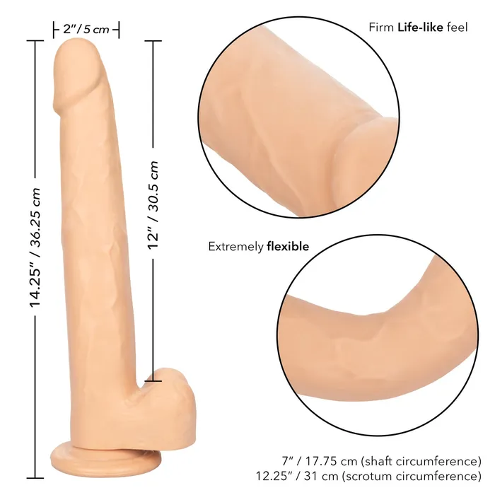 California Exotics Dildos Size Queen 12 Inch Realistic Suction Cup Dildo Dong IVORY by Cal Exotics