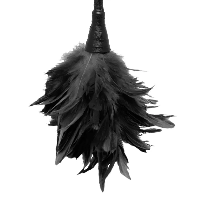 Female Sex Toys Fetish Fantasy Frisky Feather Duster Pipedream Products