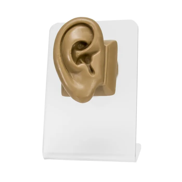 Female Sex Toys Painful Pleasures Realistic AdultSized Silicone Right Ear Display Tan Body Bit Version 2 Female Sex Toys Painful Pleasures Realistic AdultSized Silicone Right Ear Display Tan Body Bit Version 2