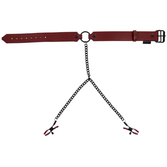 Female Sex Toys Sportsheets Saffron Collar with Nipple Clamps