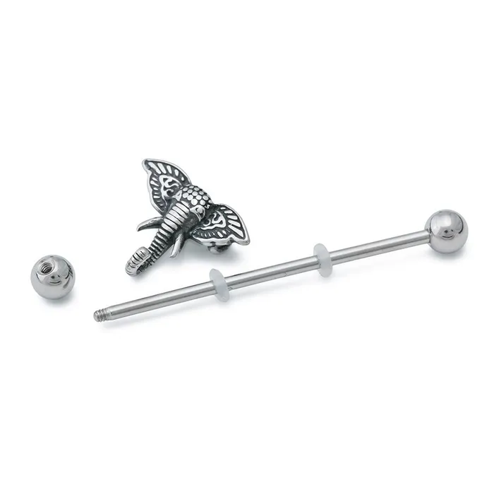 Male Sex Toys Painful Pleasures 14g 112 African Elephant Head Industrial Barbell