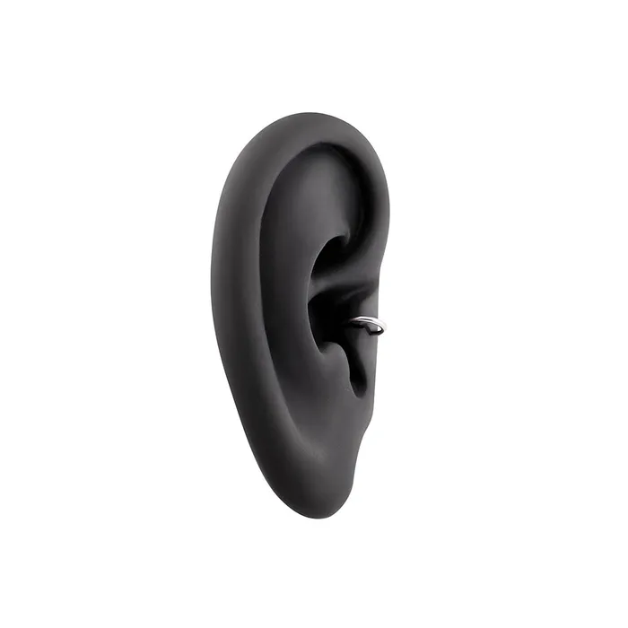 Painful Pleasures Male Sex Toys 18g Seamless Annealed Stainless Steel Ring