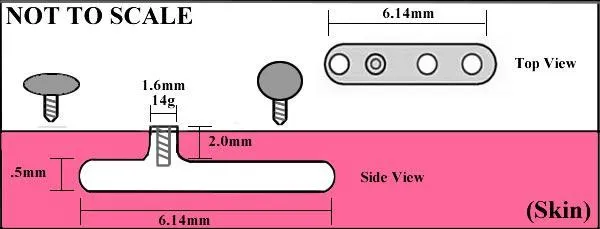 Painful Pleasures Vibrators 14g 12g Internally Threaded Cat Top Price Per 1