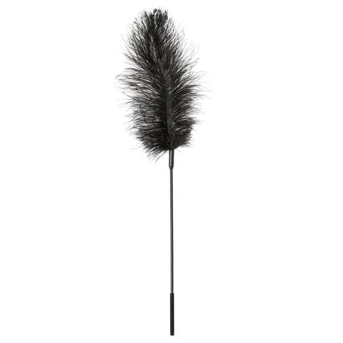 Sportsheets Anal Sportsheets Black Ostrich Feather Tickler