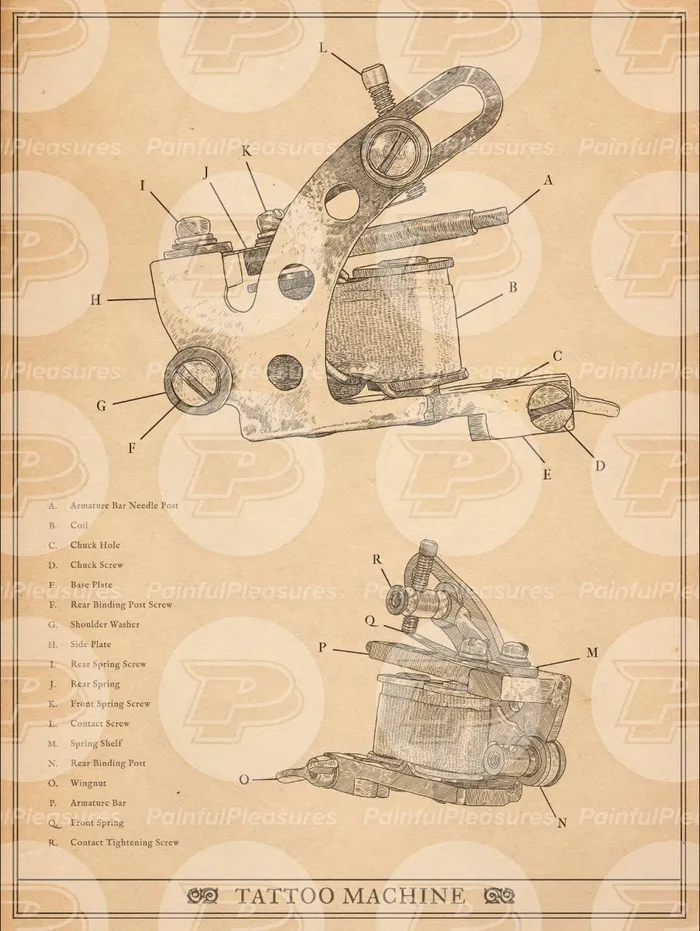Tattoo Machine Anatomy Chart 18 x 24 Poster Print Shop Female Sex Toys